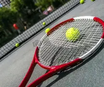 南宫28-关于网球赛场再起风云：河套青龙队险胜关中火狐队，赛场气氛火爆。的信息